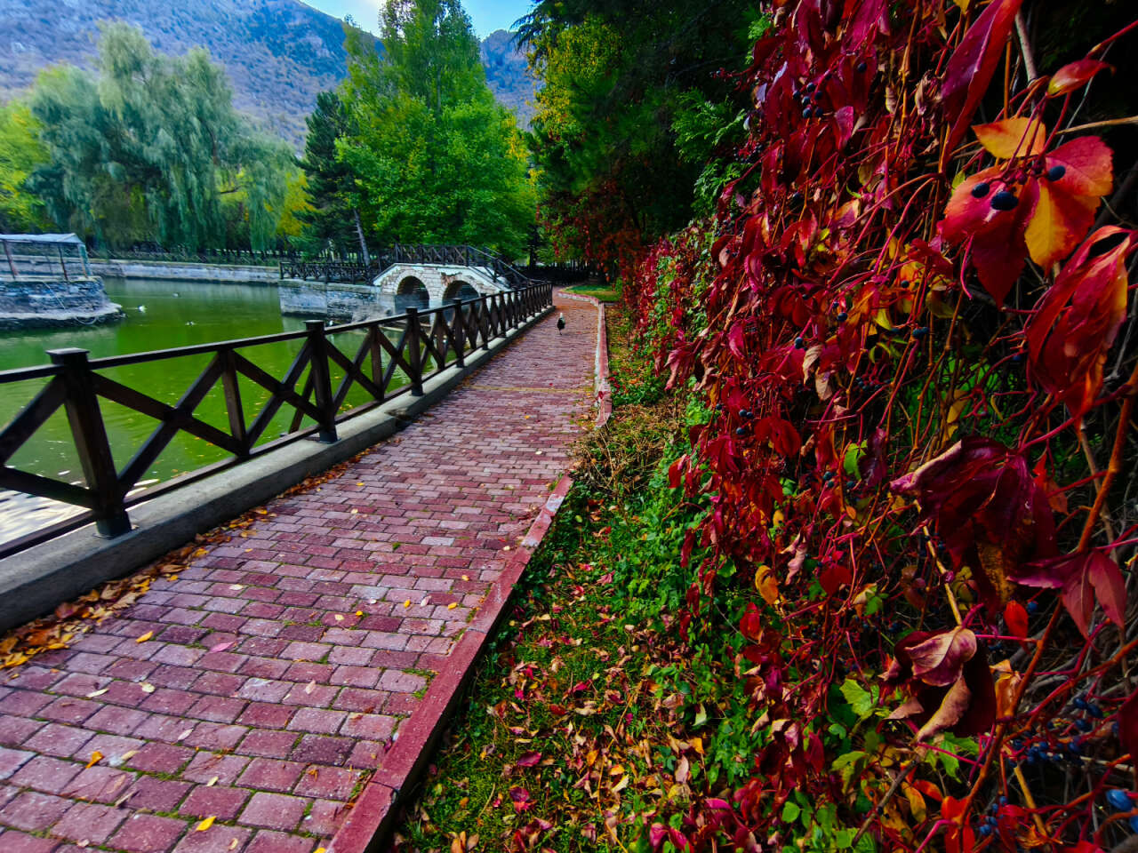 Konya’nın cennet köşesi sonbahar renkleriyle büyülüyor 9